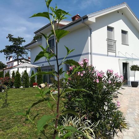 Apartmán Apartma Majda Sežana Exteriér fotografie