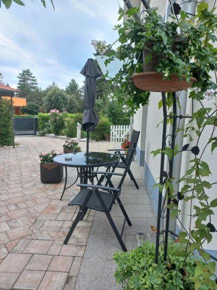 Apartmán Apartma Majda Sežana Exteriér fotografie